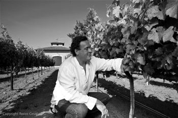 Winemaker, Mark Herold